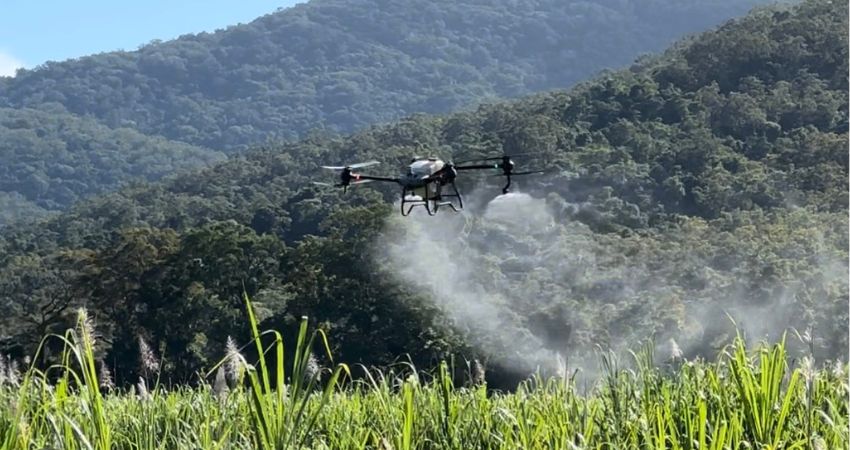 Agricultural Drone Spraying in Cairns
